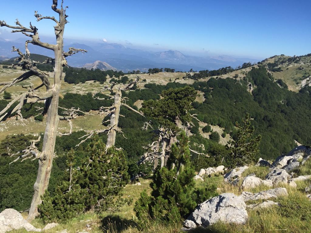 La Stella Del Pollino Hotel San Lorenzo Bellizzi Eksteriør billede